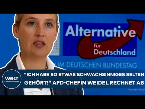 DEUTSCHLAND: "Ich habe so etwas Schwachsinniges selten gehört!" AfD-Chefin Alice Weidel rechnet ab!