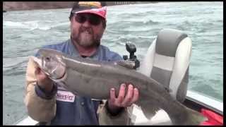 preview picture of video 'Trailer: Fishing The Lower Niagara River'