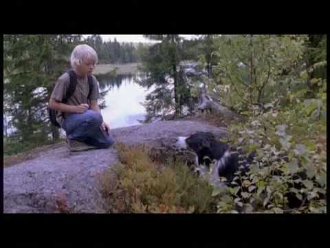 Trailer-Vorschau: SOS - Petter ohne Netz