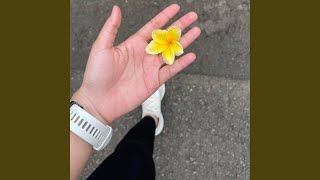 Download lagu Cupid mp3