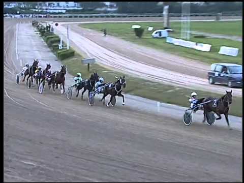 Trotto 16/10/2014 - 5° corsa