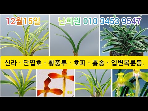 유튜브 썸네일