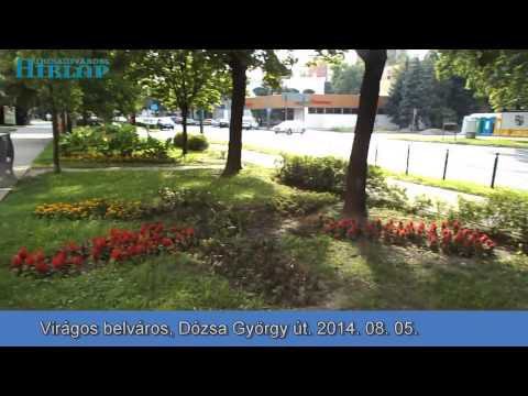 Dunaújváros, Virágos belváros