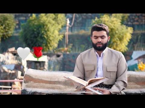 Kënaqu me Kuran | Ajetet e surës Kaf - Peshawa Al-Kurdi