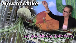 How to Make an Air Plant Jellyfish! - a Fun DIY with Stephanie! 😃🌿