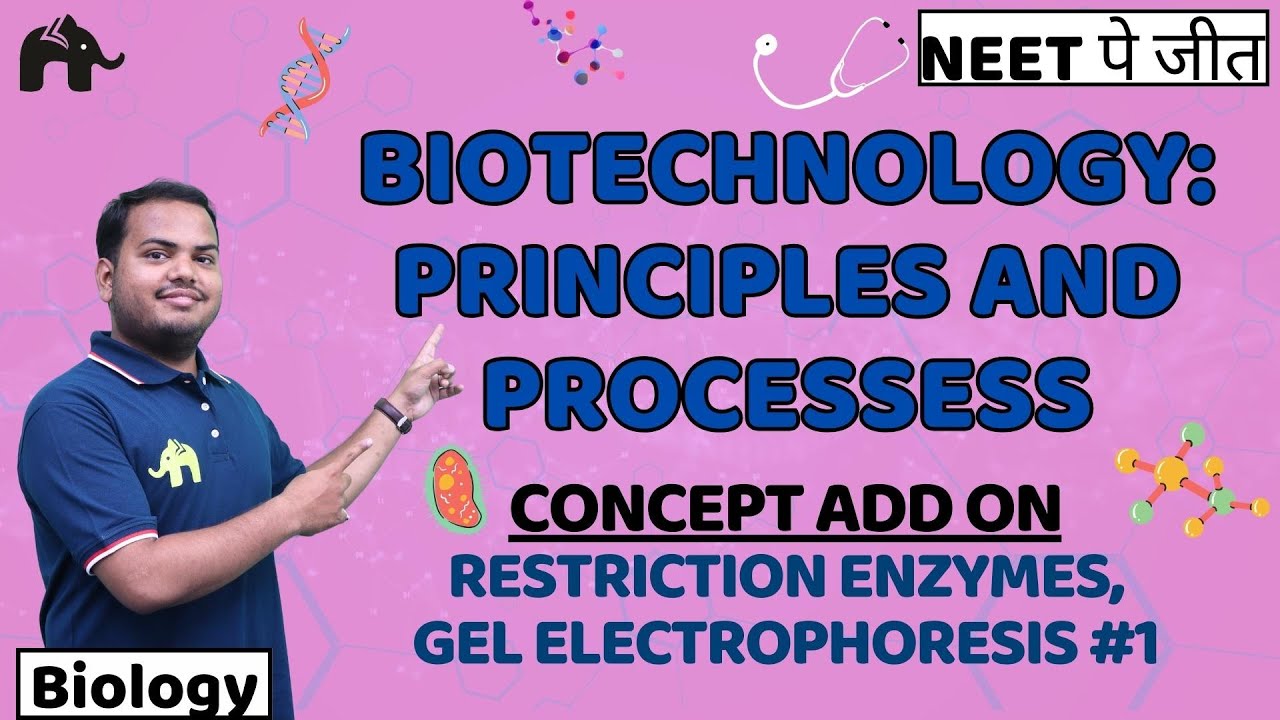 Biotechnology:Principles & processes Class 12 Biology NEET | NCERT Chapter 9 |Restriction Enzymes #1