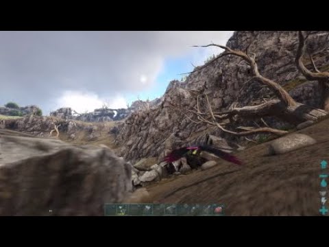 Taming a Vulture on Ragnarok Ark Survival Evolved