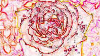 I find your love- Beth Nielsen Chapman