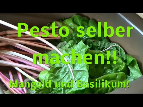 PESTO selber machen!!!  Mangold/Basilikum haltbar machen ! Nudeln!!!