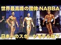 世界最高峰のスポーツモデル団体NABBA!友が夢を叶える瞬間に立ち会ってみた。