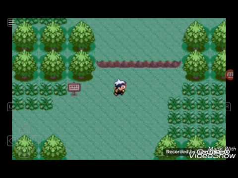 Pokemon zaffiro #3 La prima apparizione del team Idro