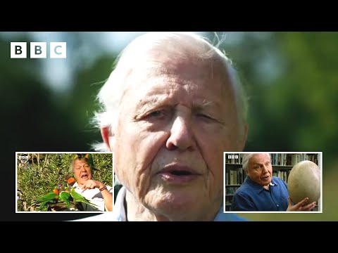 98 years of Sir David Attenborough in 98 seconds ❤️ | David Attenborough's Birthday - BBC