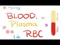 Blood, Plasma, and Red Blood Cells | Physiology of Blood and Immune System | Physiology Playlist