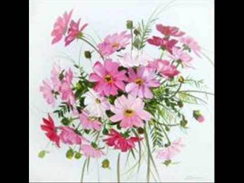 K narozeninam-Zpiva Fr.Nedved,text a hudba Jan Nedved