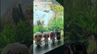 北海道の思い出🐧水族館と海鮮丼✨#ReGLOSS #ReGLOSSのなつやすみ #vlog #shorts