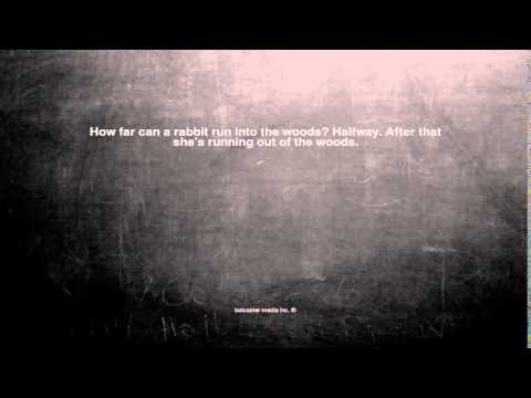 YouTube video about: How far can a rabbit run in the woods?
