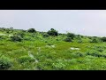 Abwaan Dhoodaan Gabay Dab Iyo Qiiqna Waan Kala Aqaan Saa Duq Baan Ahaye
