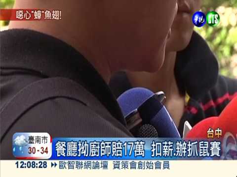 魚翅驚見"小強" 廚師判免賠!