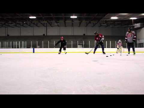 Hesi The Hockey Sensation