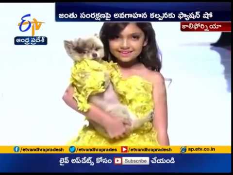 Anthony Rubio on the News in India - Pet Fashion