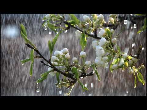 Marţian Negrea (1893-1973): Three songs on poems by Lucian Blaga (1925-1930)