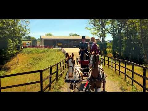 Queen Ladi Gangsta - Queen Inna Deck [Official Music Video] prod by: Sikk Records