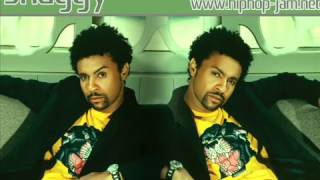 Shaggy - Why Me Lord !