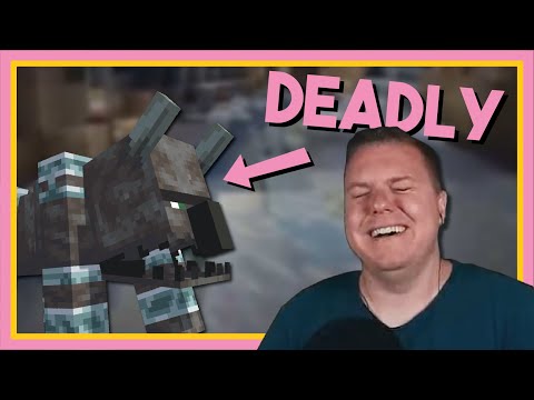 ZedaphPlays2 and ZedaphPlays