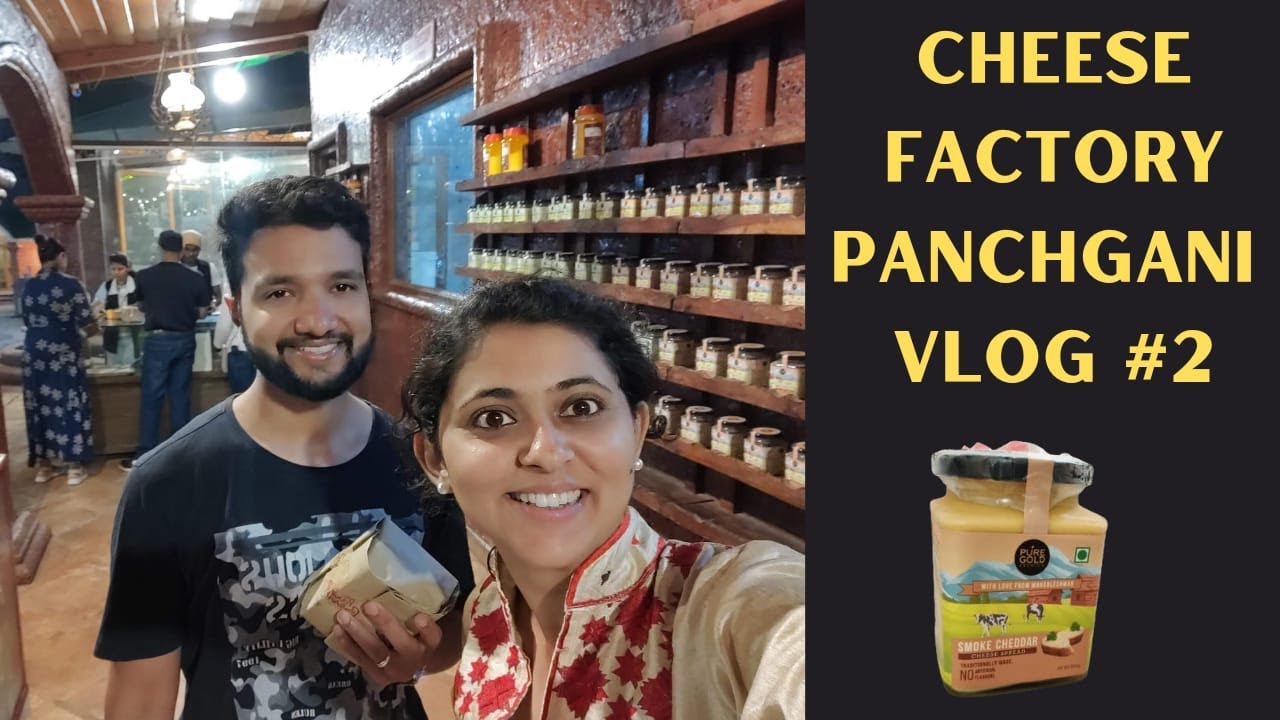 How is your favorite cheese made Cheese Production Tour