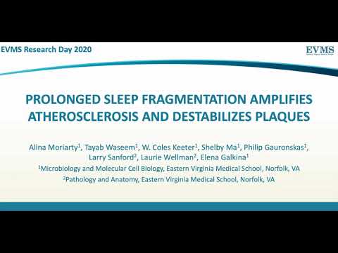 Thumbnail image of video presentation for Prolonged Sleep Fragmentation Amplifies Atherosclerosis And Destabilizes Plaques