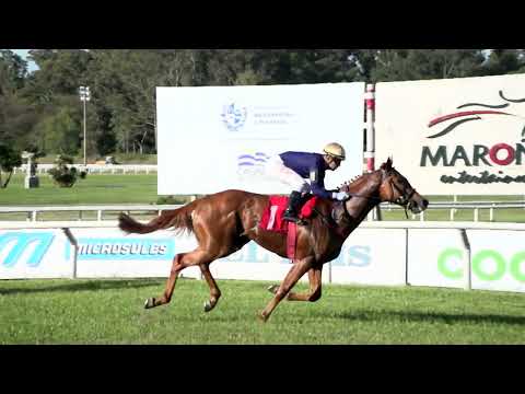 221029 c07 OBRA MAESTRA