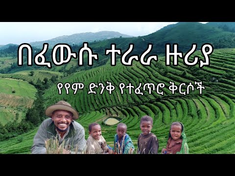#የም በፈውሱ ተራራ ዙሪያ #ቦር #እርከን #Yem #MountBor #GuzoEthiopia #agritourism #ጉዞ_ኢትዮጵያ #travelEthiopia