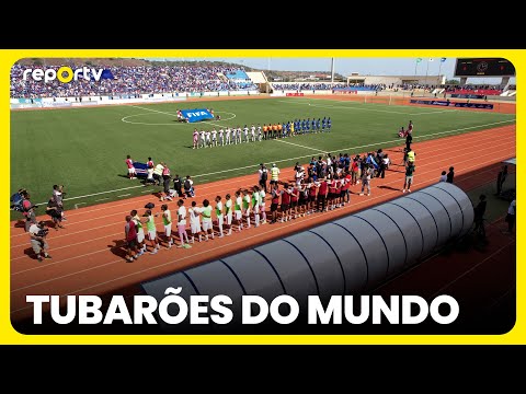 Reportv: Sharks of the World | sport tv