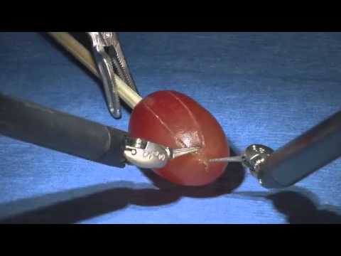 Precision da Vinci Robotic Surgery Peels Grape Skin