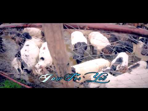 Am For You(Official) - Ras Madedo