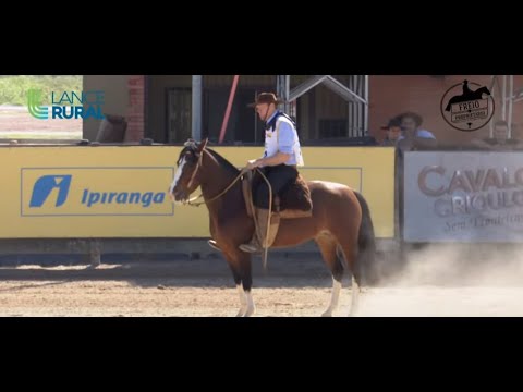 Freio do Proprietário (Amador B) - Andaduras, Figura, VSP e Esbarradas