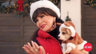 Marie Osmond - On Demand from DISH and Lifetime Movies