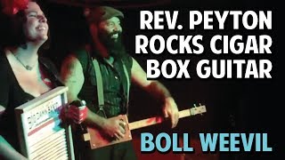 Reverend Peyton&#39;s Big Damn Band &quot;Boll Weevil&quot; on Cigar Box Guitar