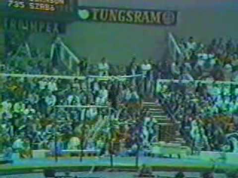 Chen Yongyan 1983 Worlds AA Bars