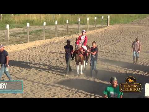 CORRIDA DE CAVALOS - 2º TORNEIO DE POTROS FILHOS DO HOLLAND OREILLE 2023 PART. 1