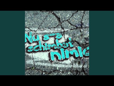 Nu s-a schimbat nimic (feat. Capeliy & DJ Nasa) (Radio Edit)