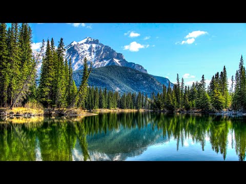 Jordan S. Mompo - Sleeping Elves