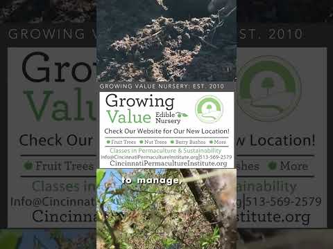 Nursery Profits: Perennials Outperform Annuals