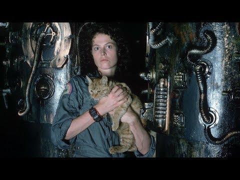 Kermode Uncut: Sequel Or Equal?