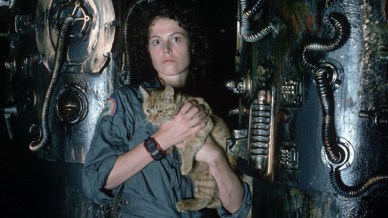 Kermode Uncut: Sequel Or Equal?