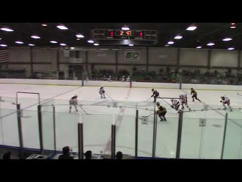 OHSAA State Tournament - University School vs Walsh Jesuit - Center Ice