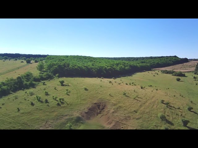 video-img