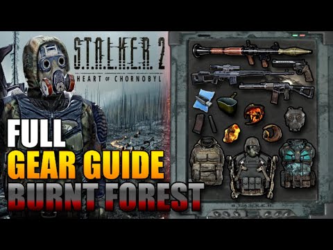 All Burnt Forest BEST GEAR - Stalker 2 Guide