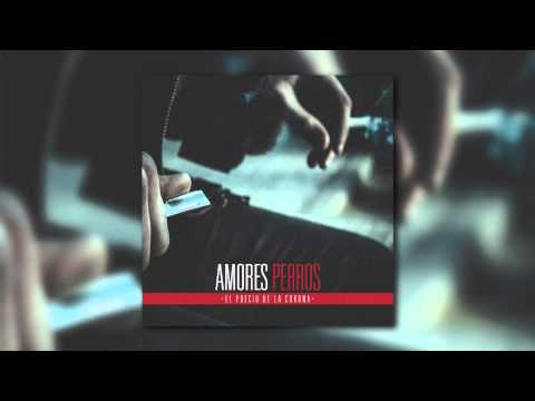 Amores Perros - 14.Memorias de una mantis