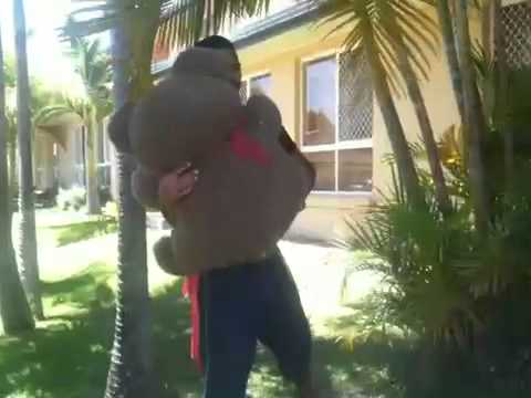 Slox getting owned by teddy